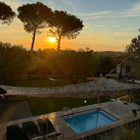 Sea View Villa In Olive Garden Nea Kallikrateia 외부 사진
