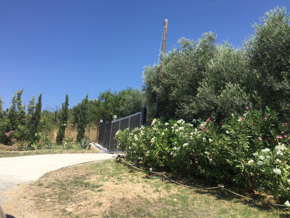 Sea View Villa In Olive Garden Nea Kallikrateia 외부 사진