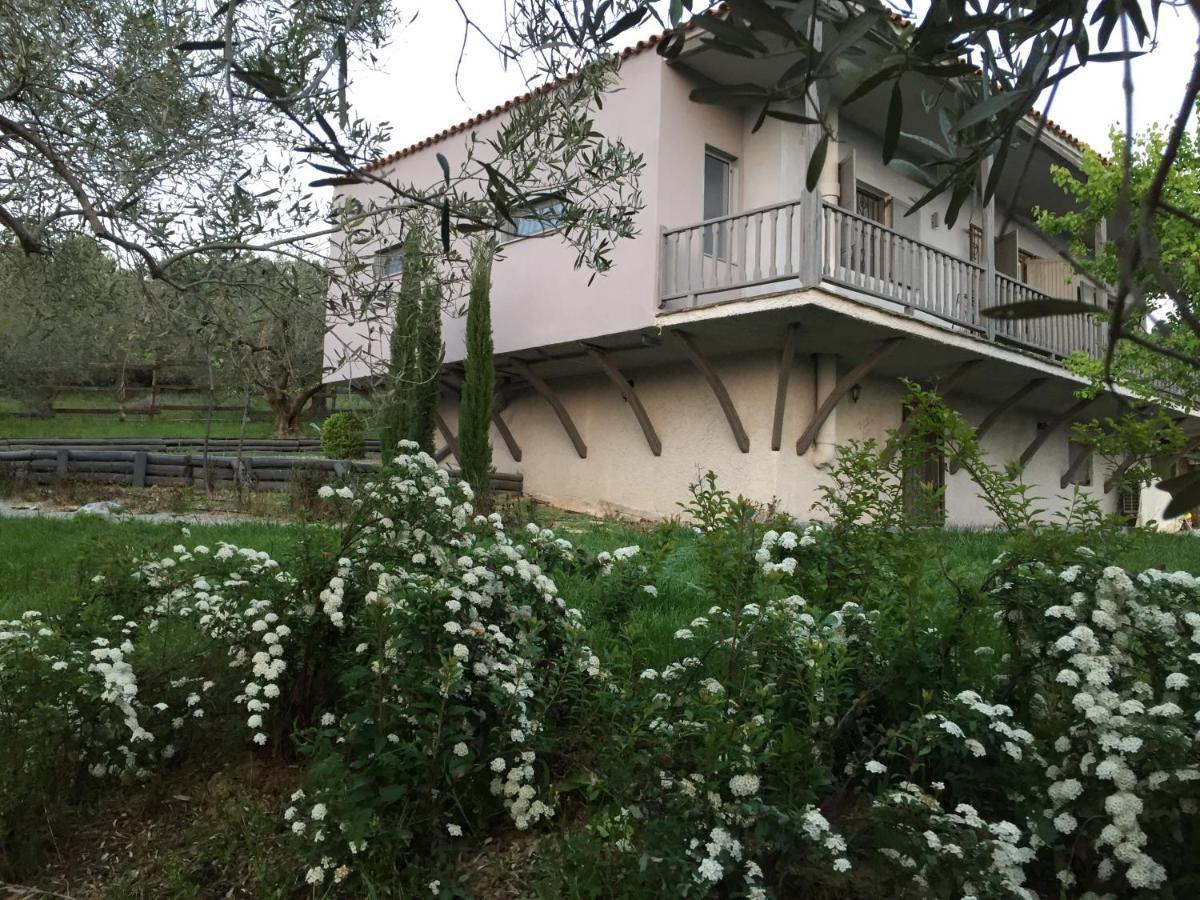 Sea View Villa In Olive Garden Nea Kallikrateia 외부 사진
